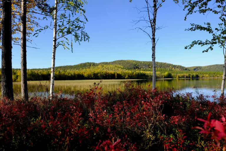 Tjäderbergets mångfaldspark