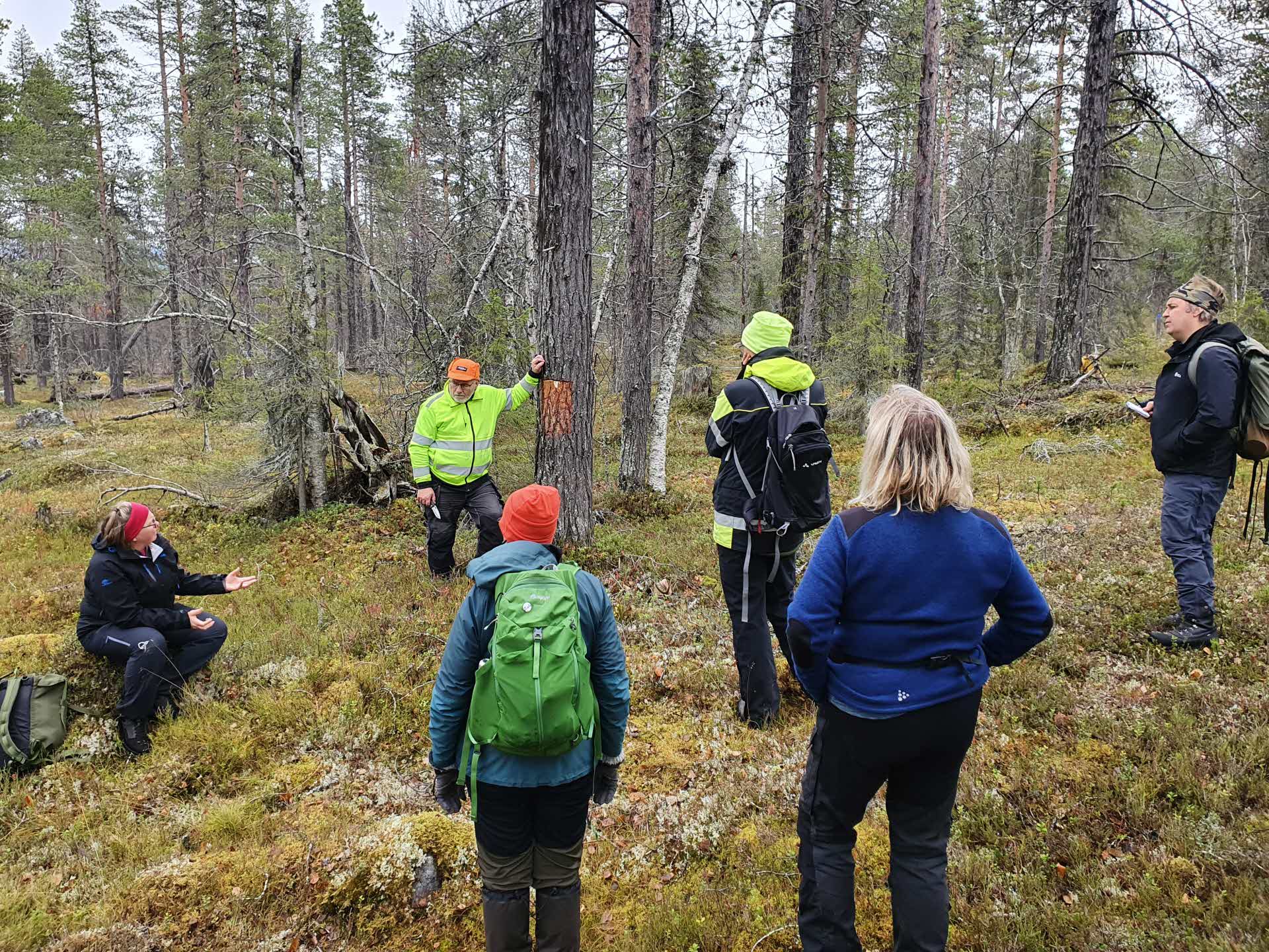 Mångfaldspark Peltovaara