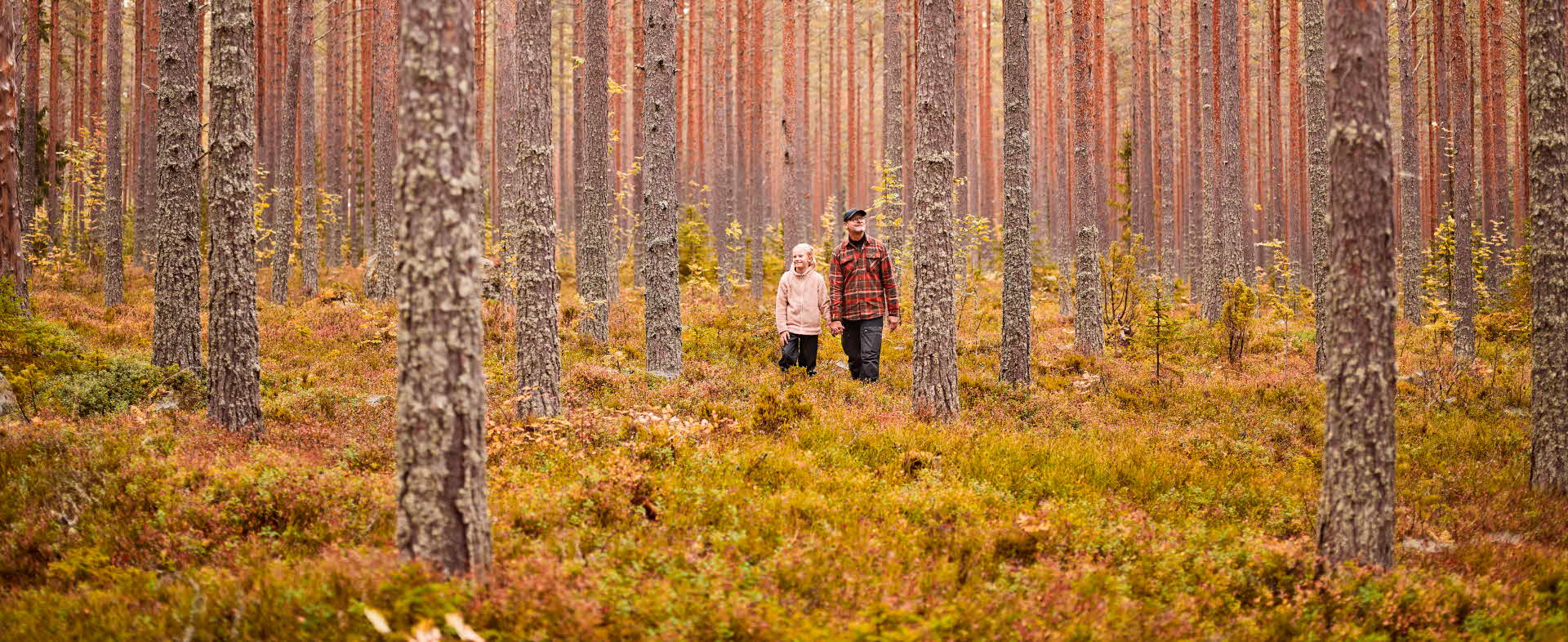 Two persons in the forest.