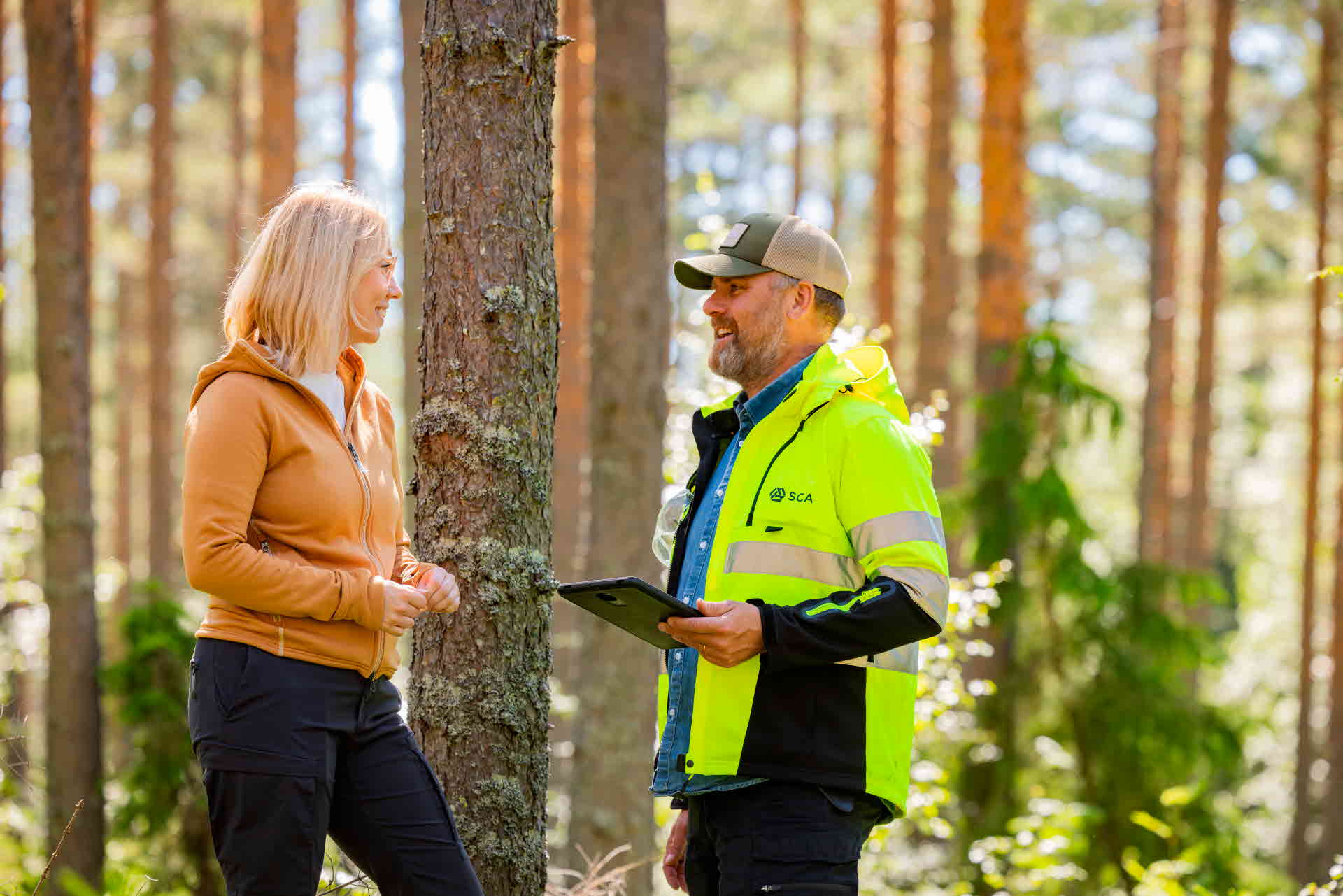 Skogsägare och virkesköpare i skogen
