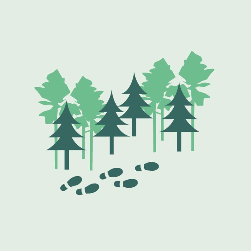 Illustraion skog och rågång