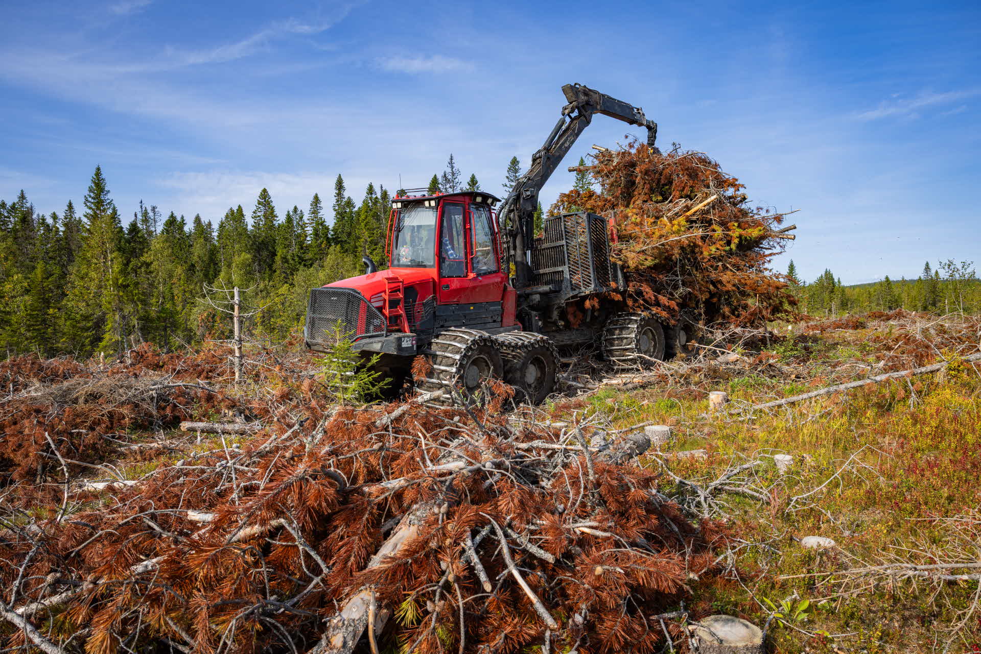 Harvesting slash