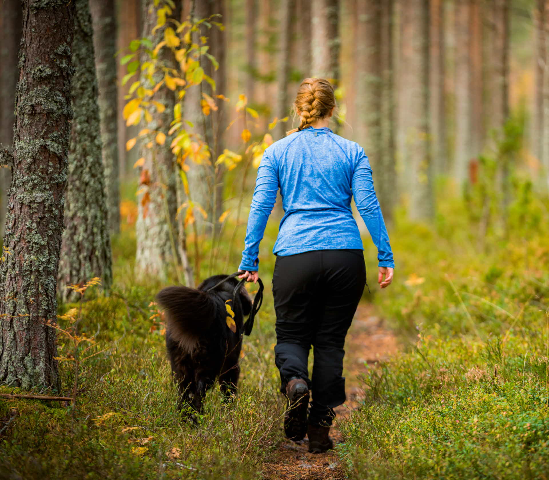 En kvinna promenerar med en hund i skogen.