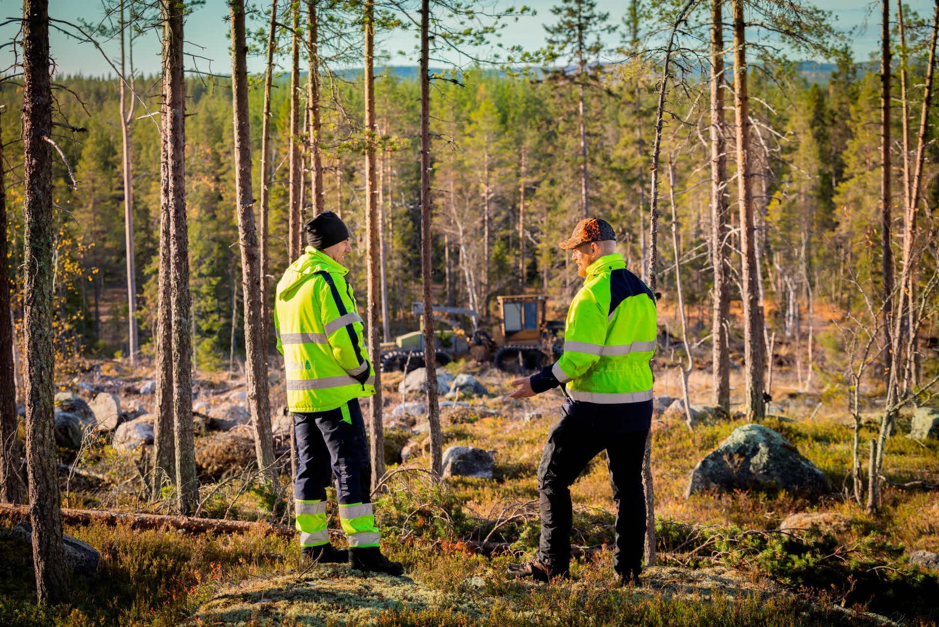 Två skogliga entreprenörer vid ett avverkningsområde.