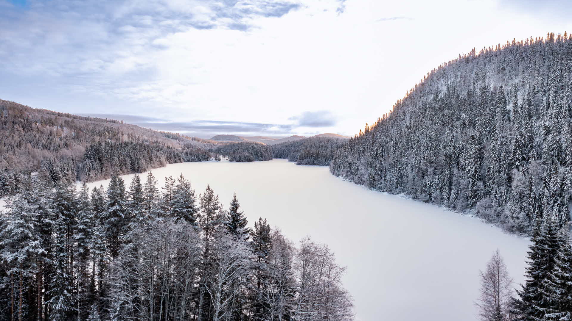 En drönarbild över en höstskog.