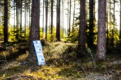 Pelletssäck i skogen