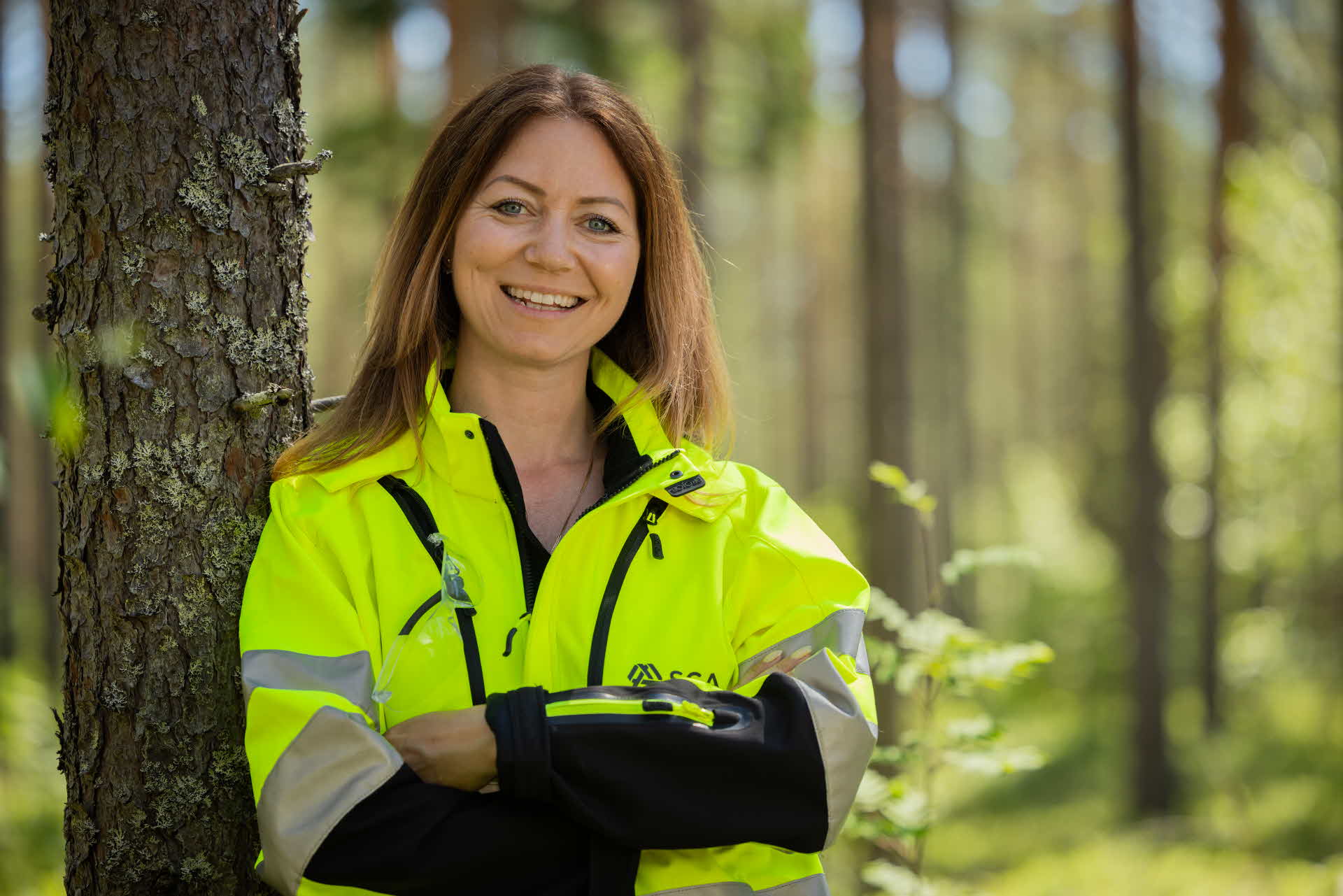 Virkesköpare i skogen