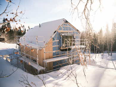 Ett kärnfuruhus i snö.