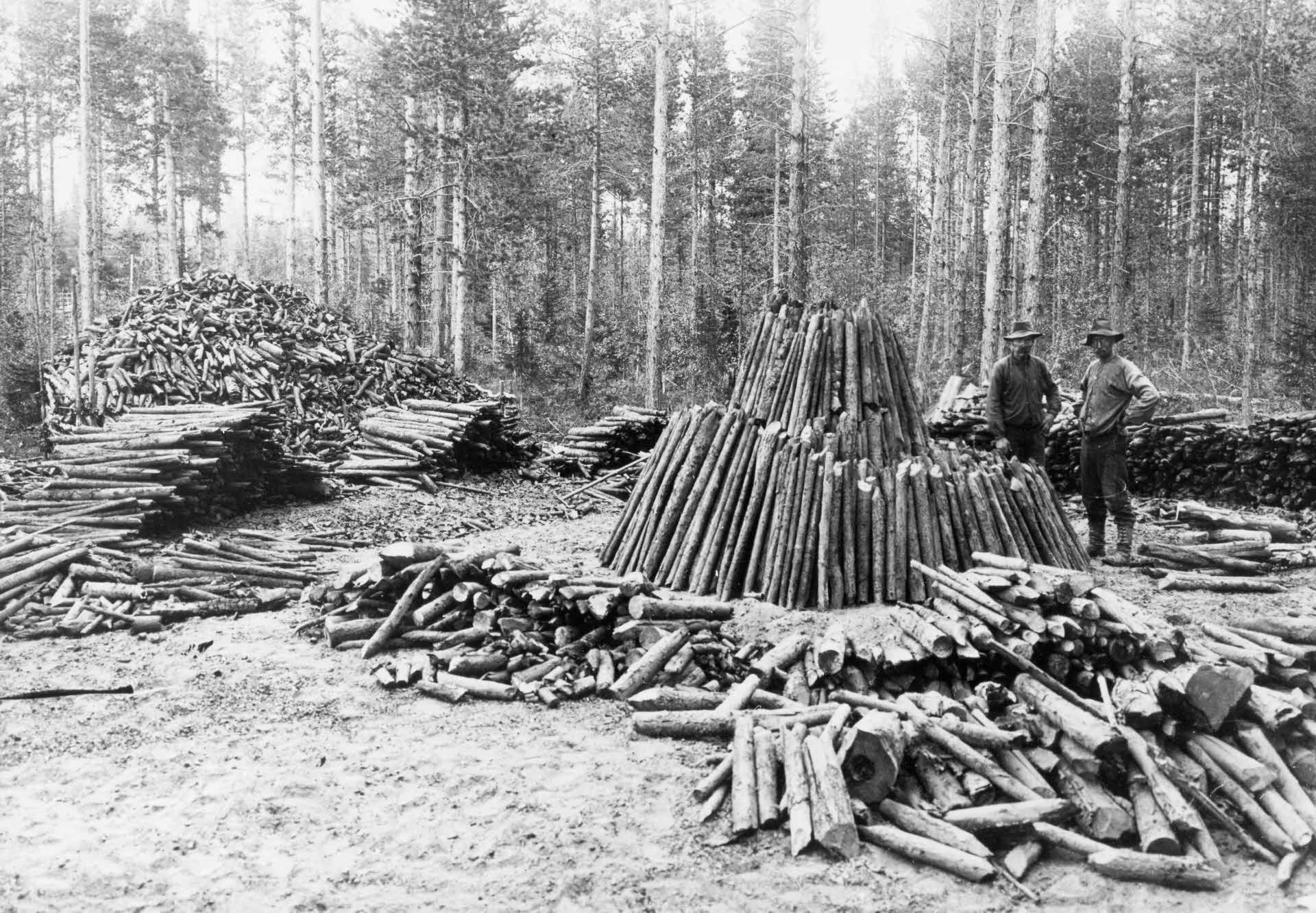 A black and white photo of two men working in the forest with charcoal.