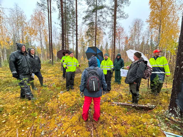 Möte i skogen