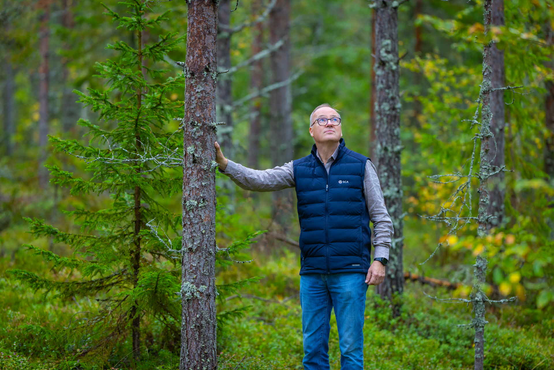 Man looking up on trees in the forest