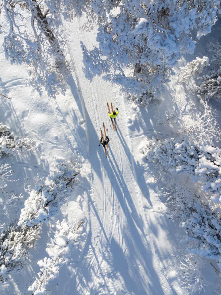 Två personer på turskidor i vinterskog