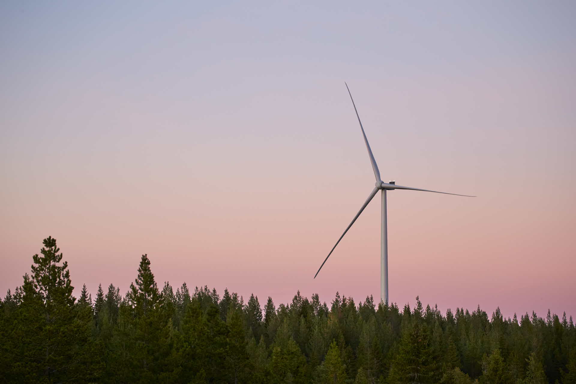 Vindkraftverk i soluppgång