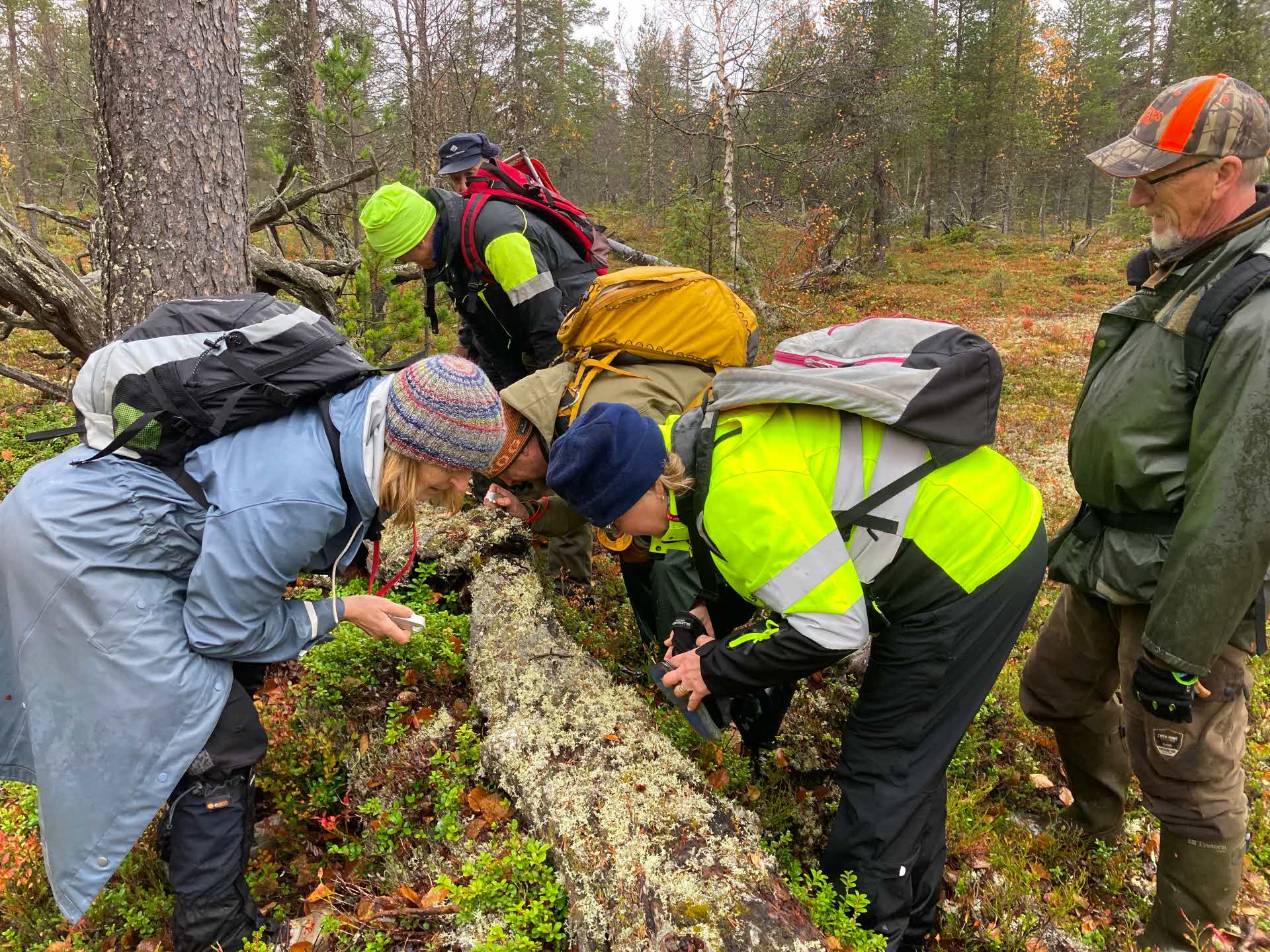 Årsmöte i Nietsak-Peltovaara mångfaldpark 