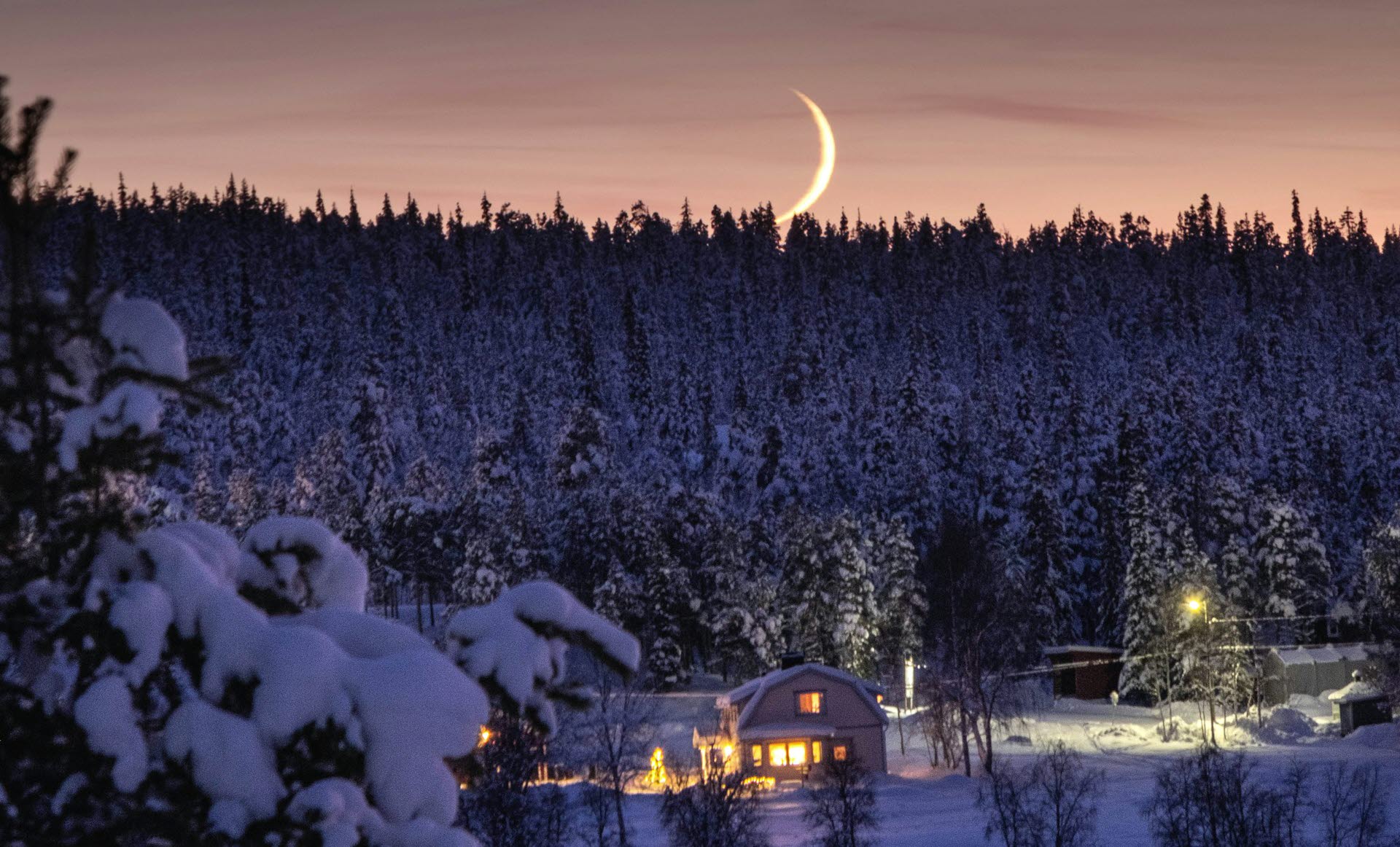 Natt med lysande halvmåne över snötäckta granar och ett hus.