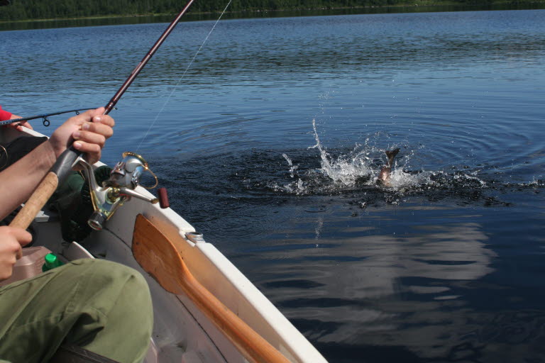 Fishing 