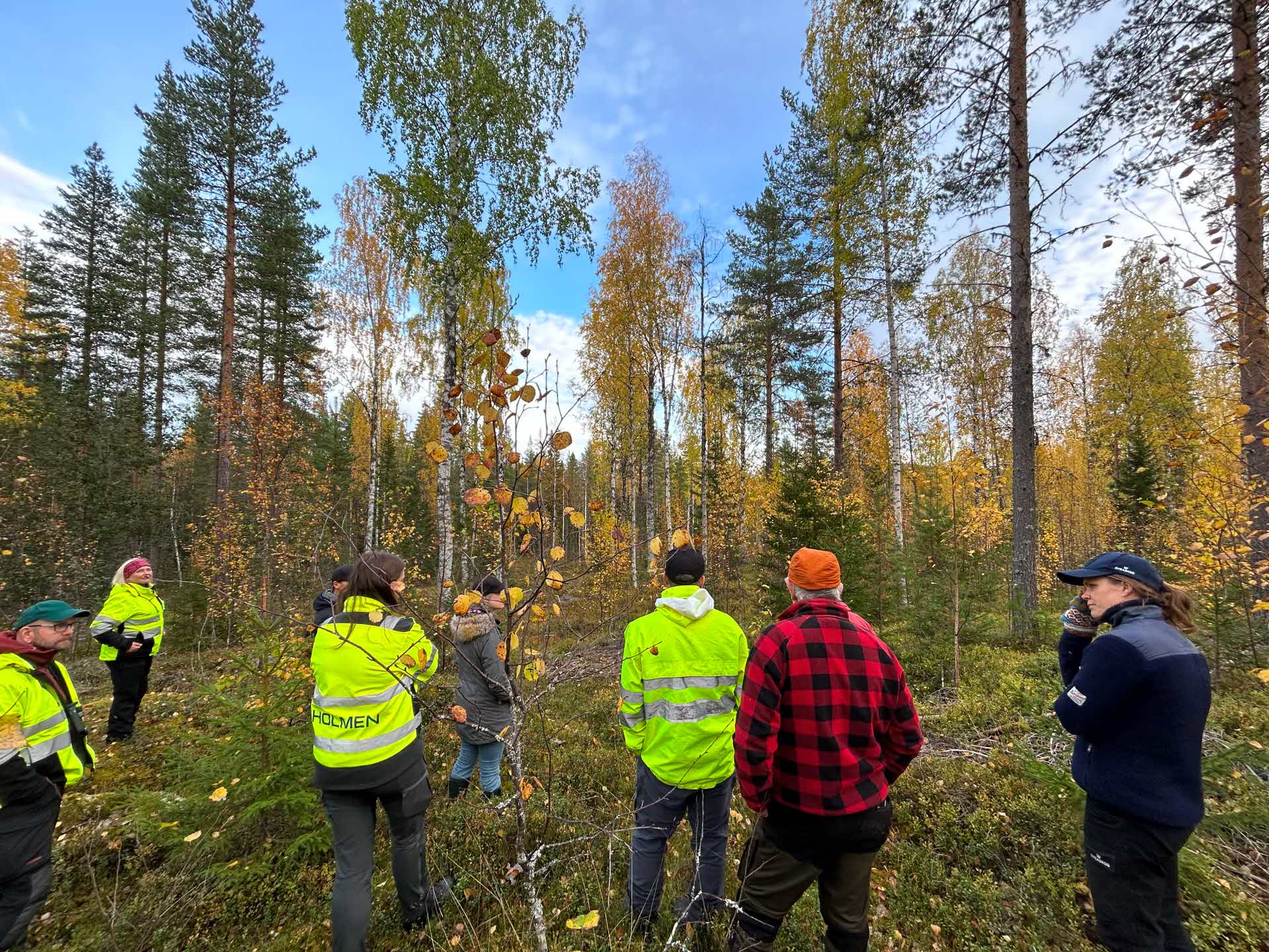 Lövskog