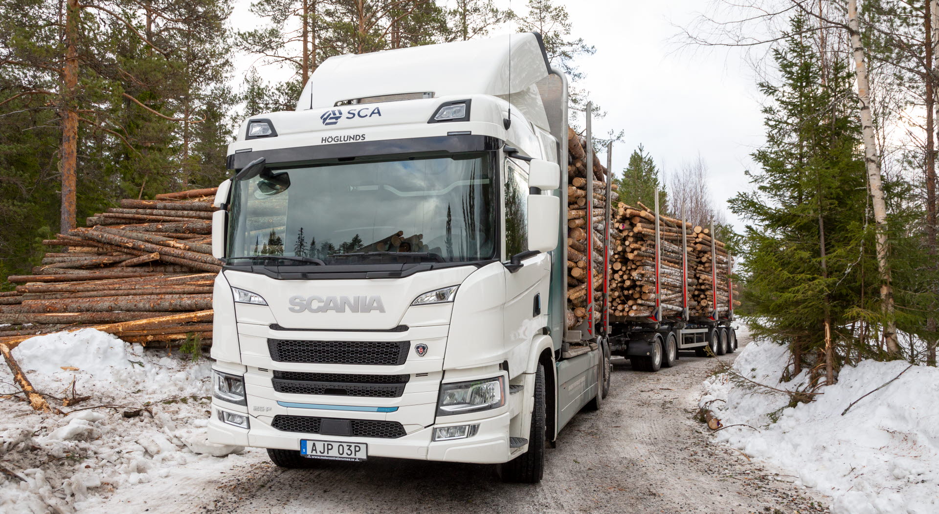 Electric timber truck in the forest