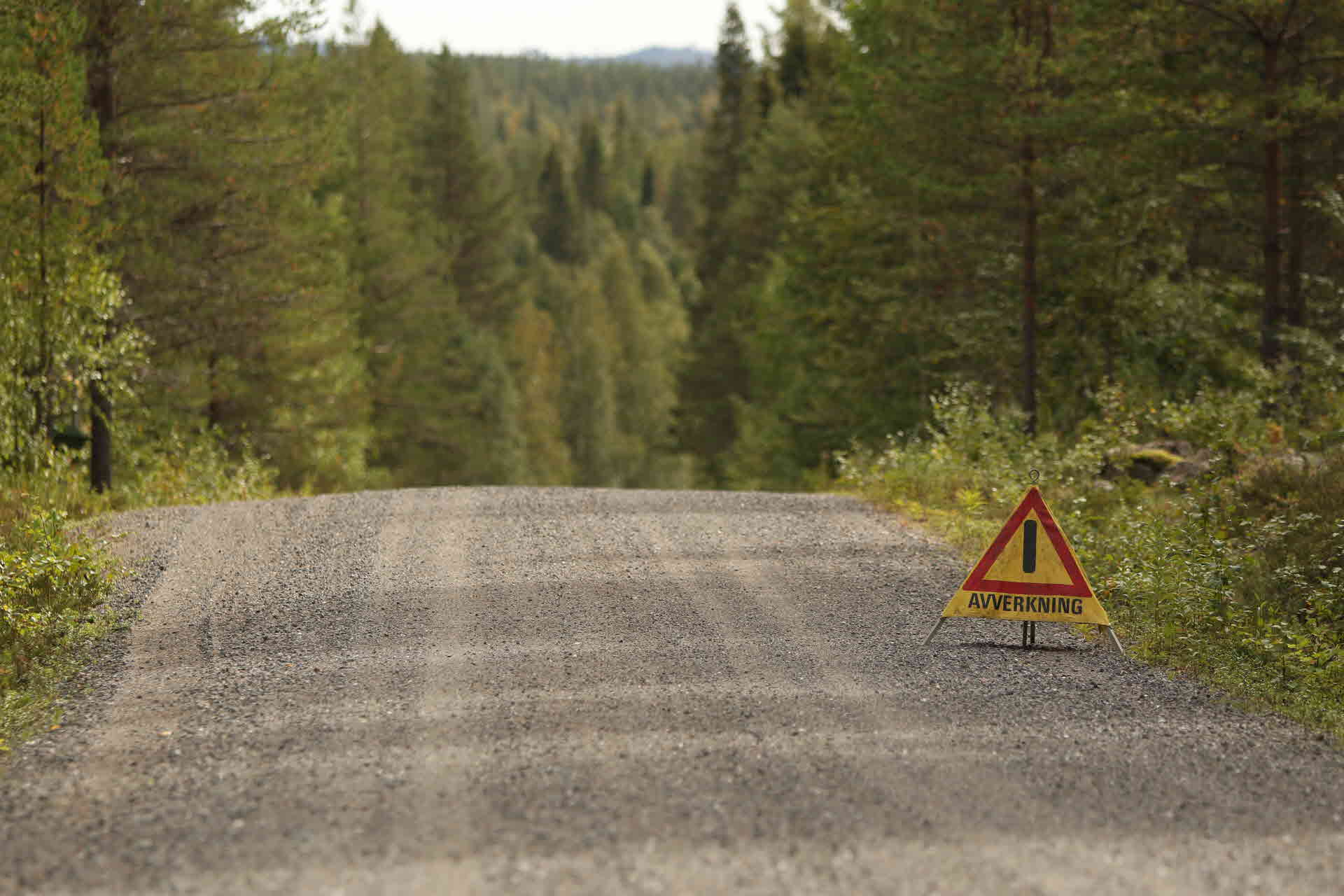Skogsbilväg med varningsskylt för avverkning