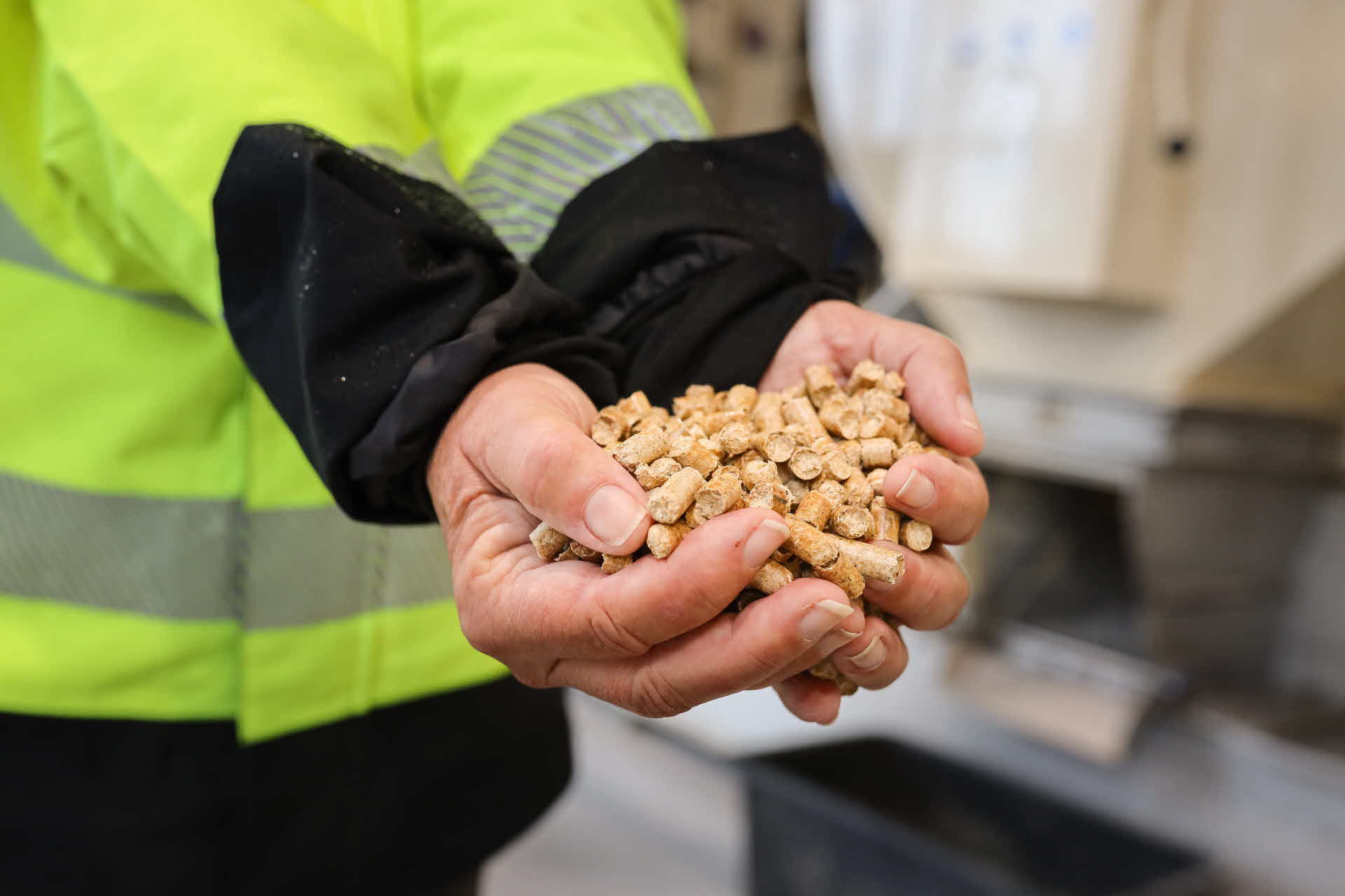 Pellets från Valåsen i händer