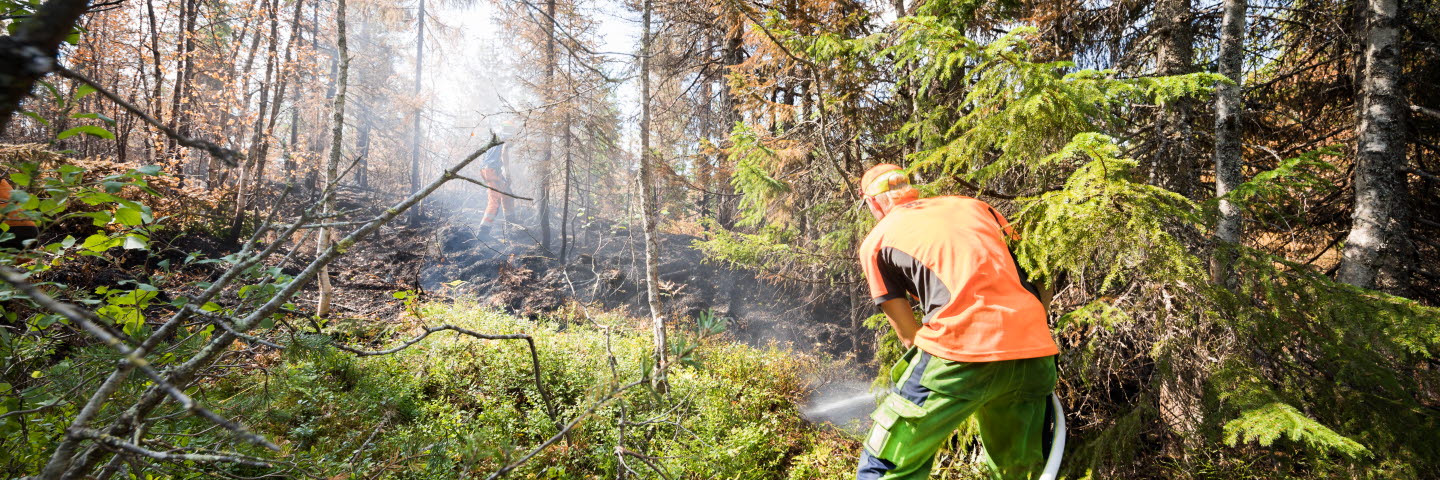 Ronny Holmqvist arbetar med eftersläckning av skogsbrand i Möckelsjöberget, Ångermanland