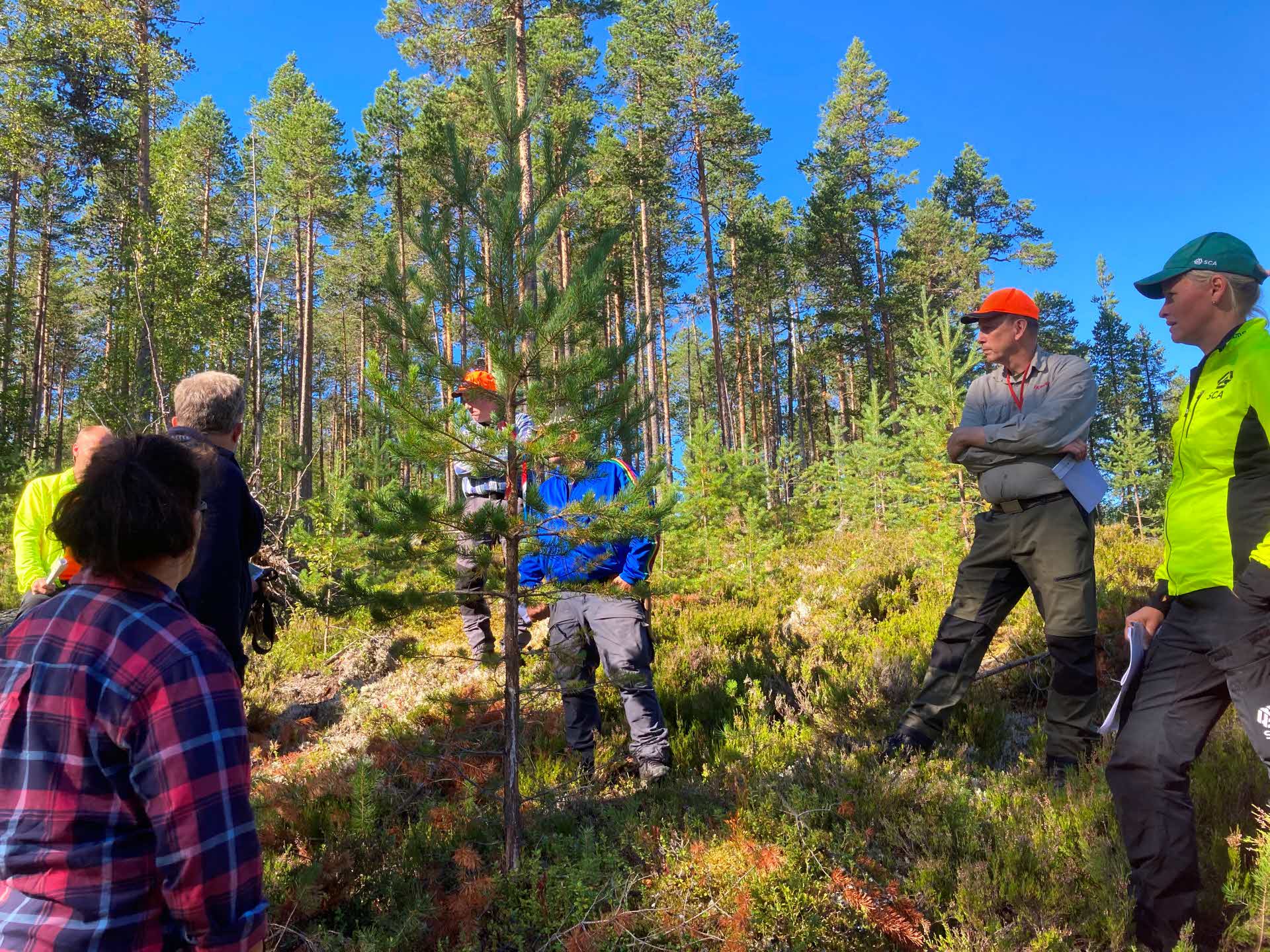 Möte i Märlingsberget