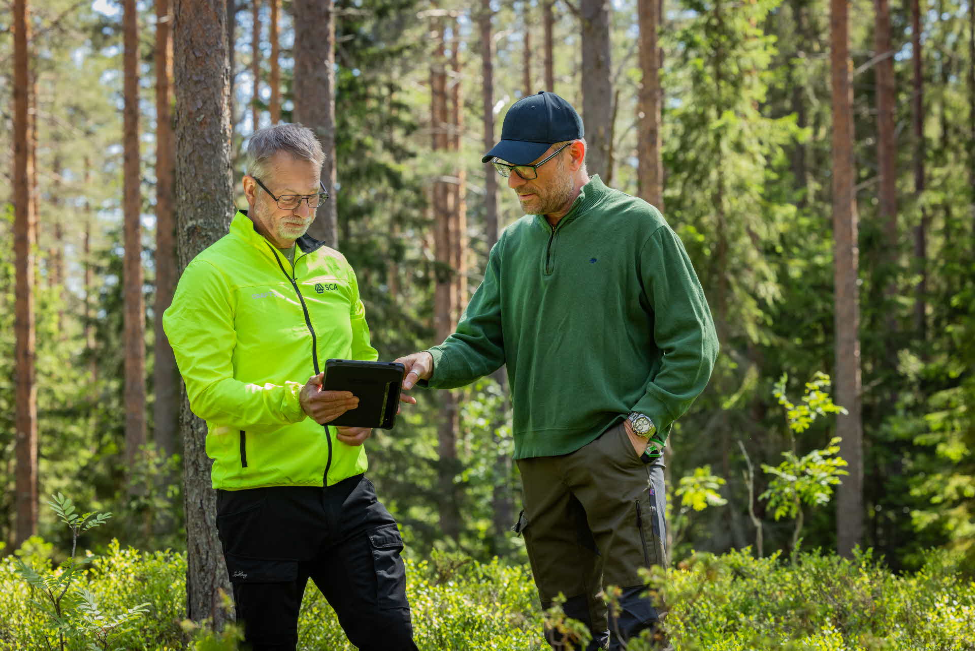 Virkesköpare och skogsägare i skogen