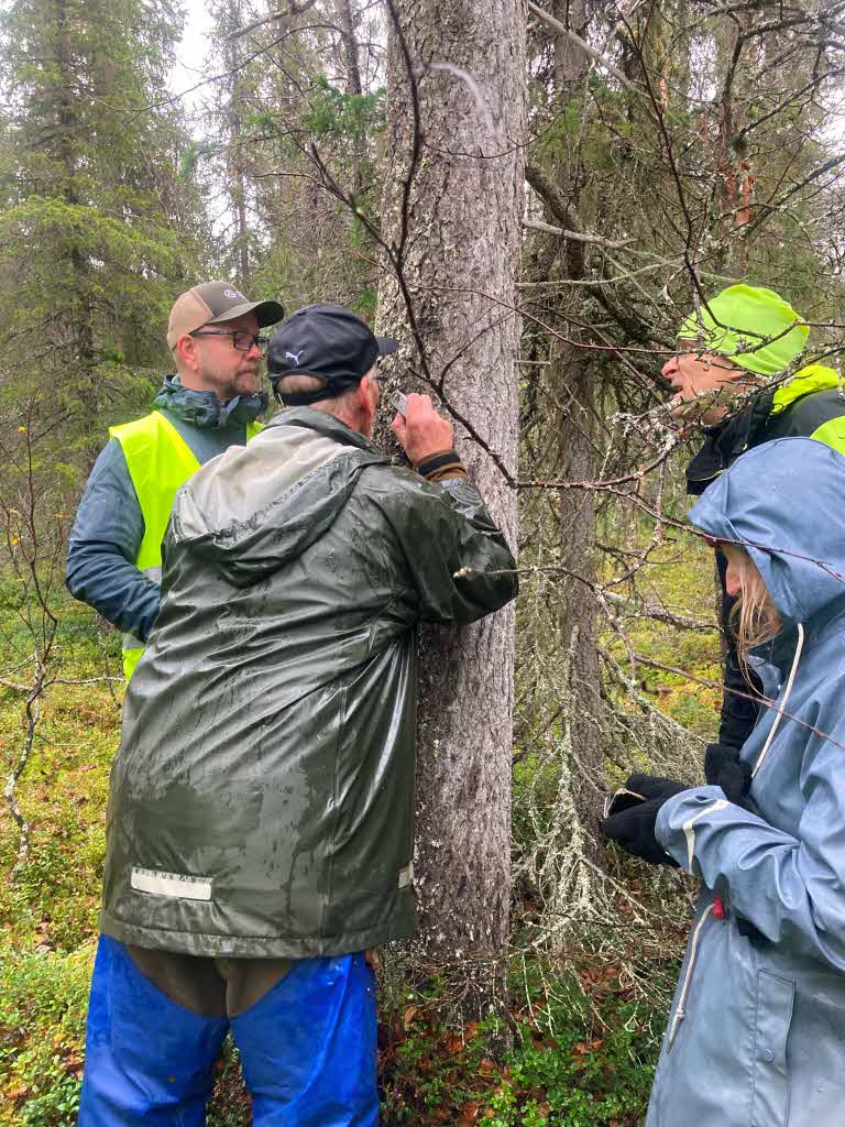 Gruppen letar arter