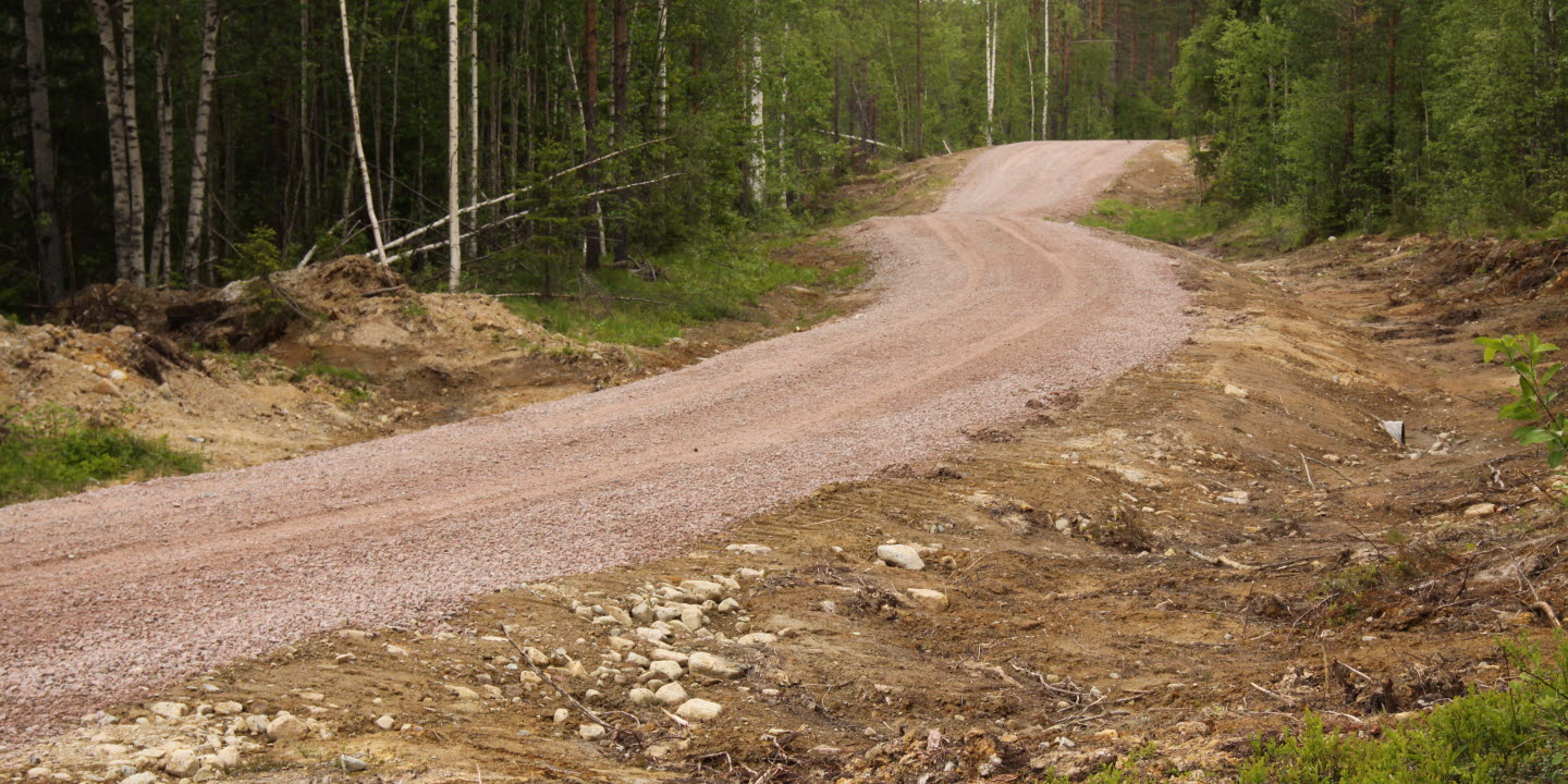 Skogsbilväg i skogen