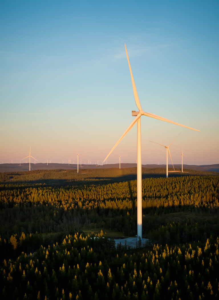 Wind power on SCA land