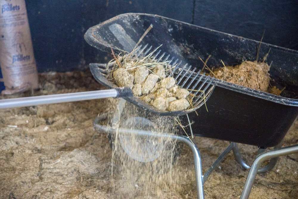 Mockning där minimalt med fräscht spån följer med till gödselstacken