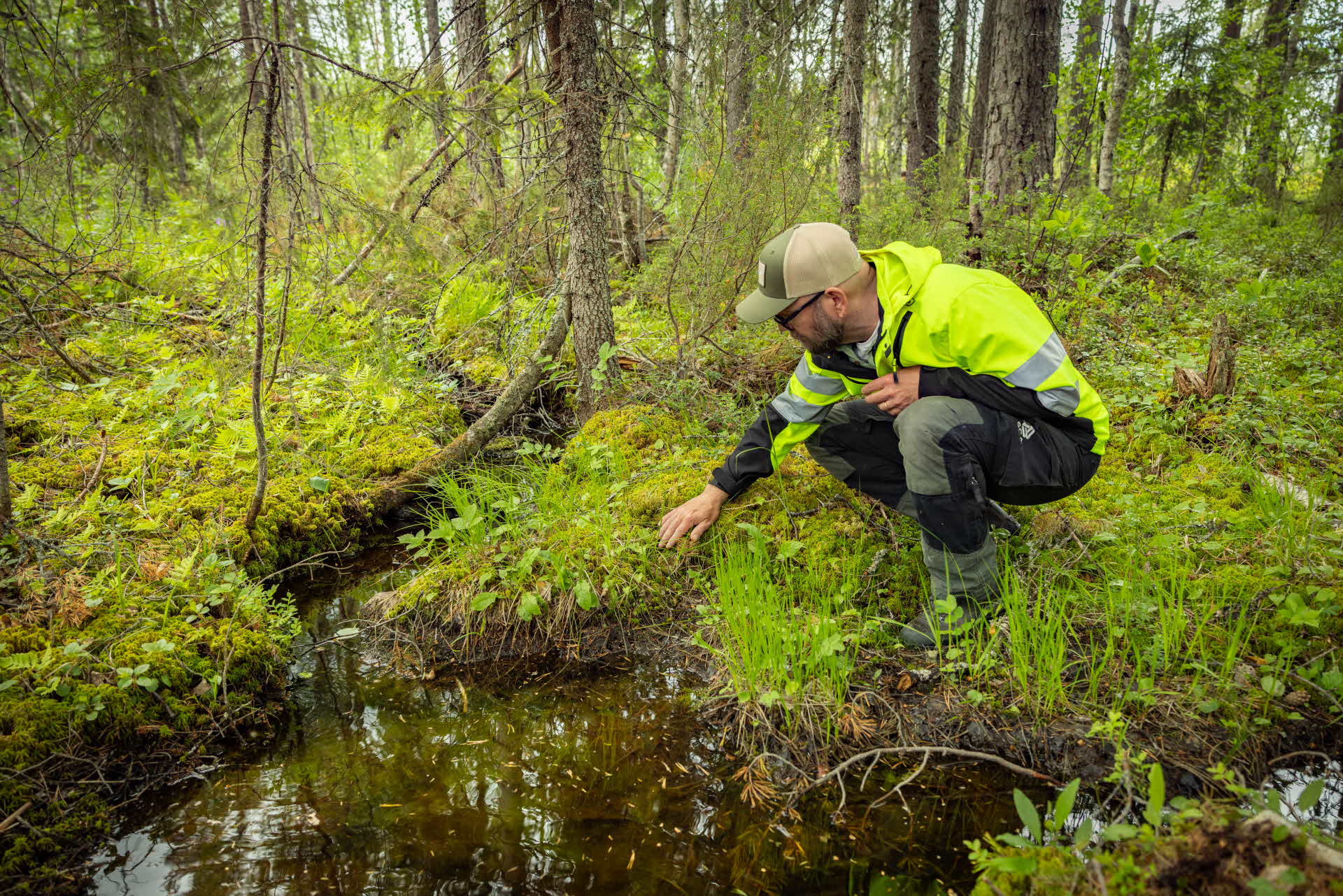 skoglig specialist vid bäck