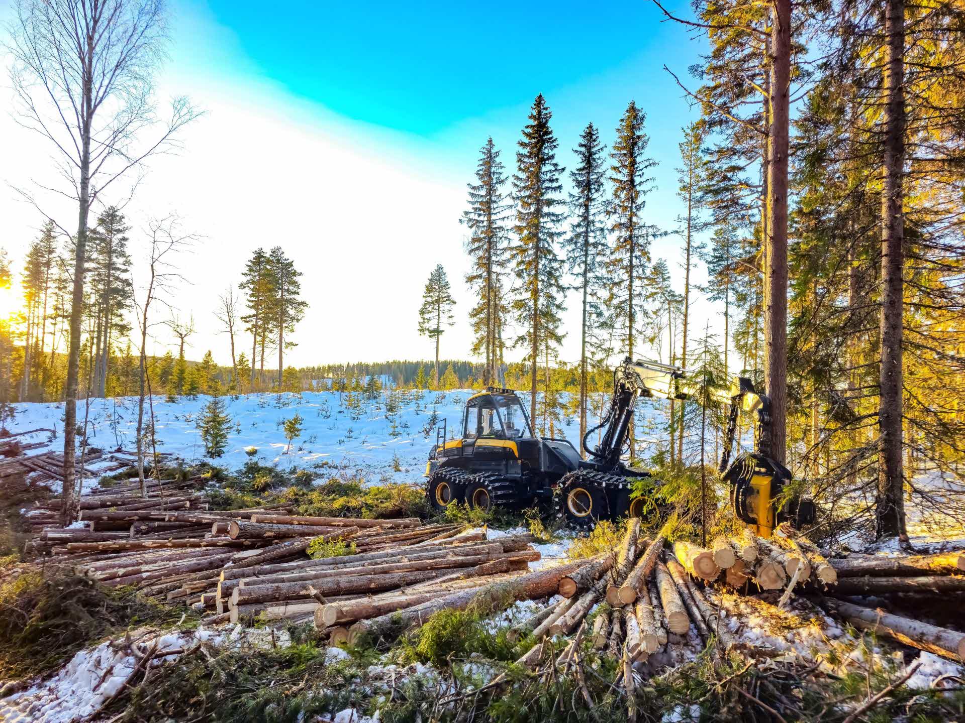 Skogsmaskin i arbete på vintern.