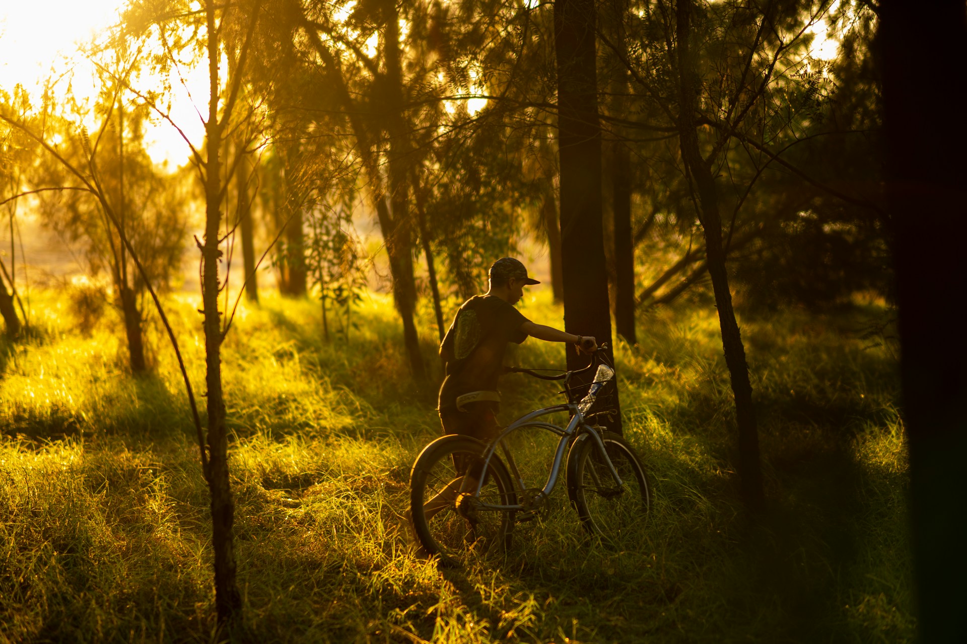 En man drar en cykel genom en skog i solnedgång.