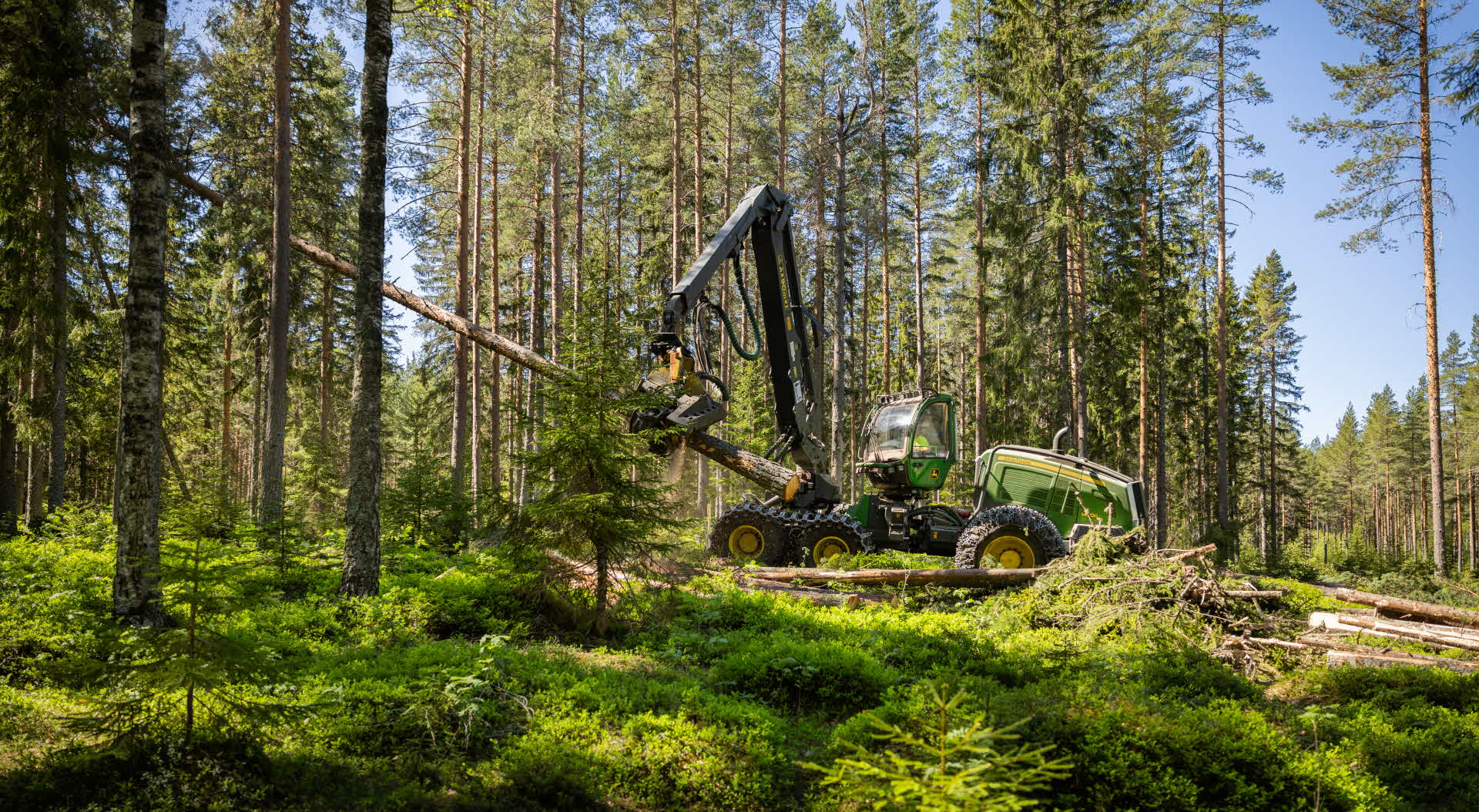 a harvester thinning in the forest