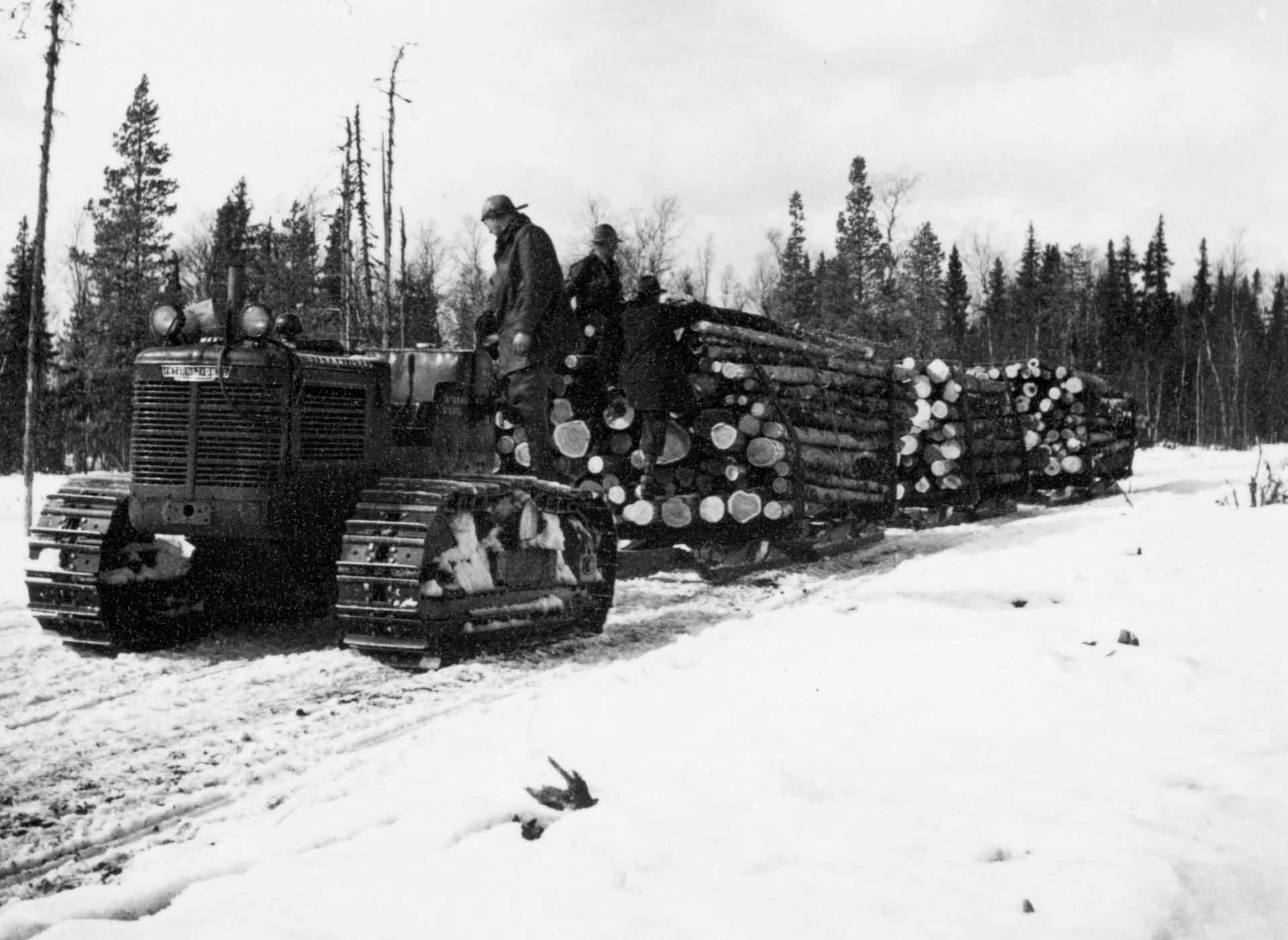 Logs are transported out of the forest using a tractor, 1947.