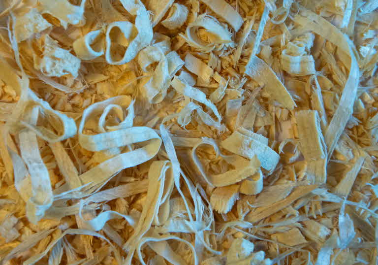 Wood shavings
