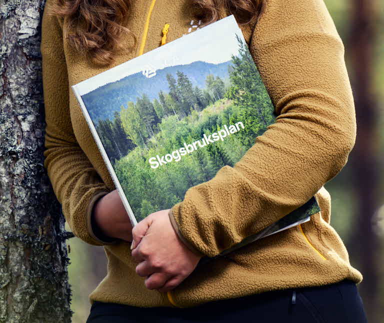 skogsbruksplan