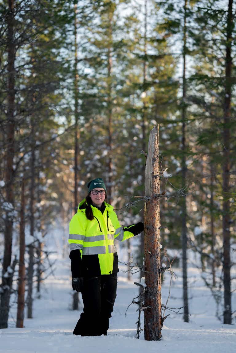 Moa Widman, skoglig specialist vid SCA i Hoting