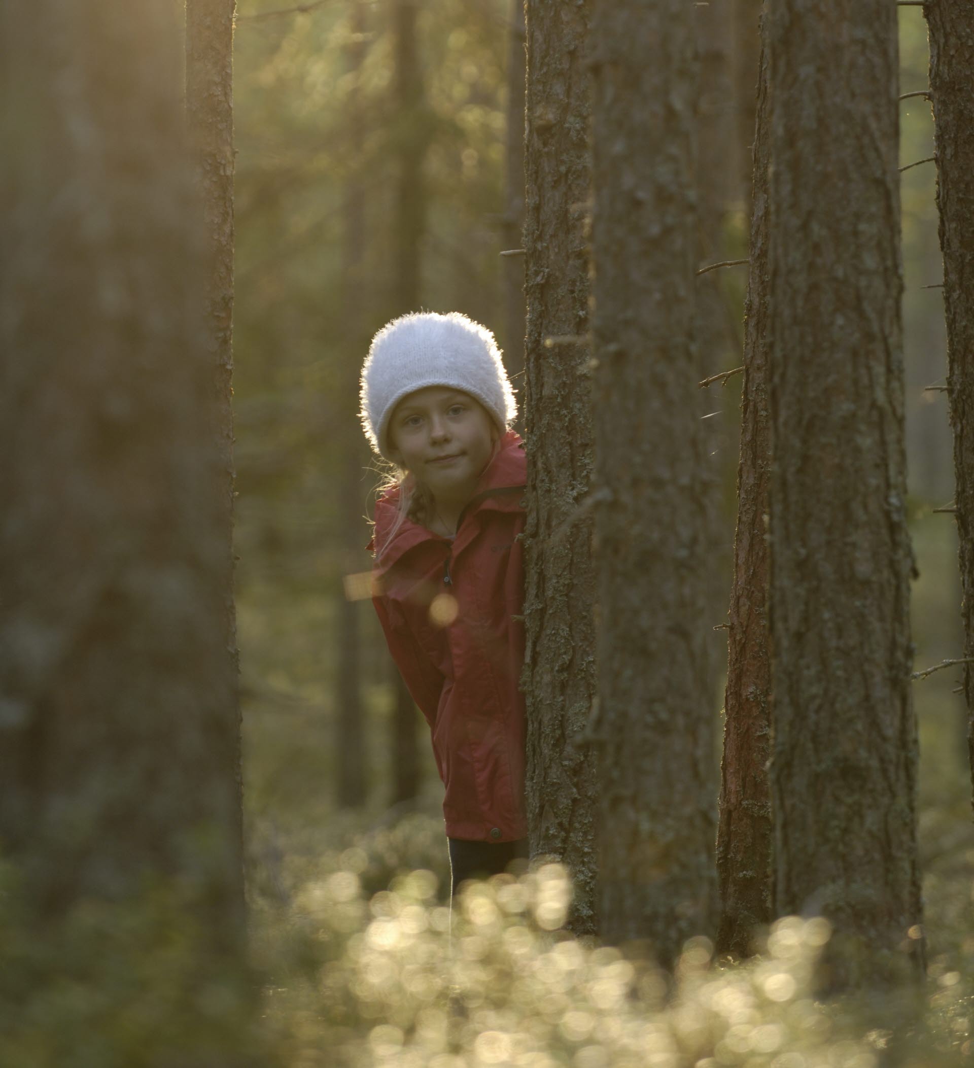 A child peeking out from behind a tree.
