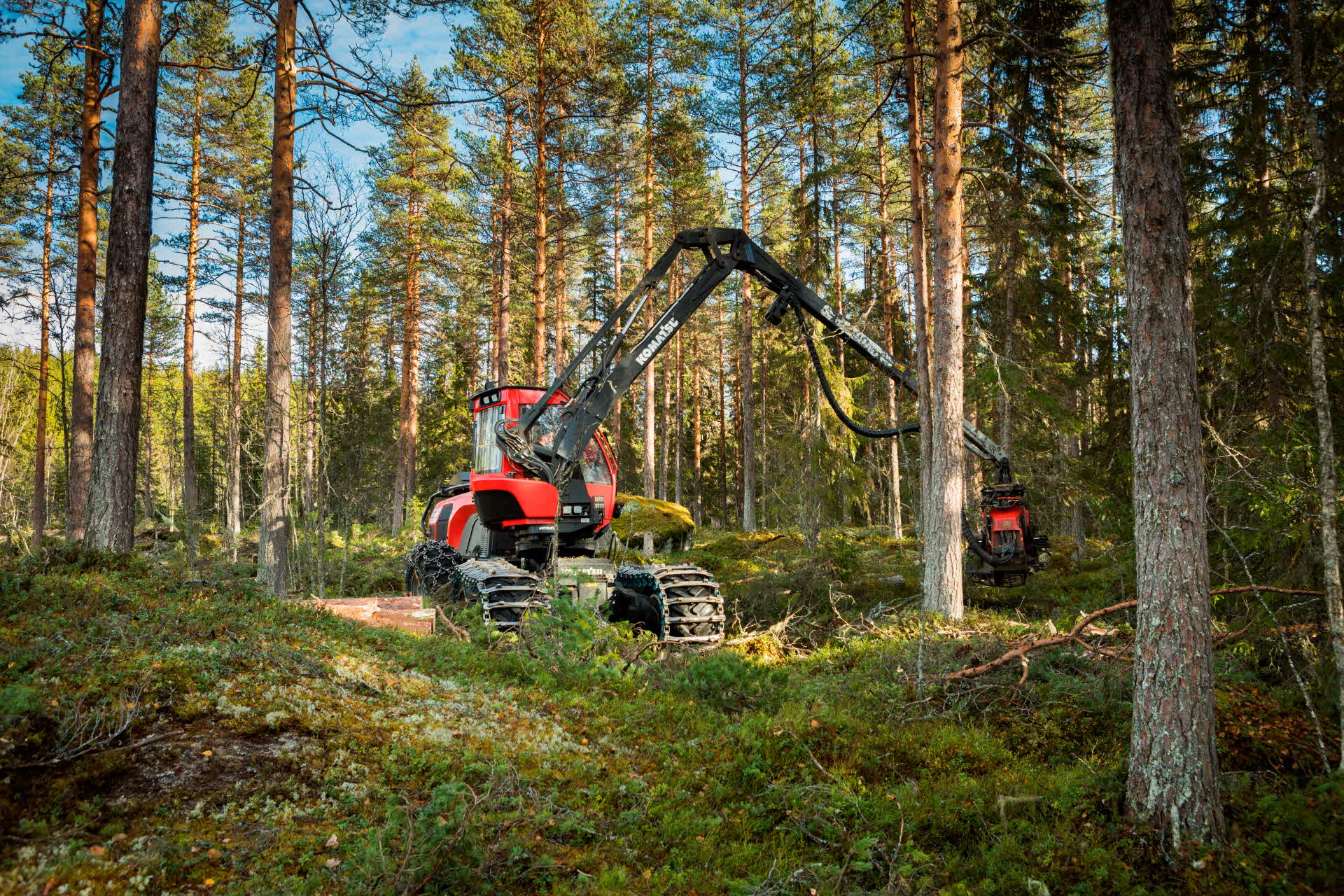 Skogsmaskin som avverkar