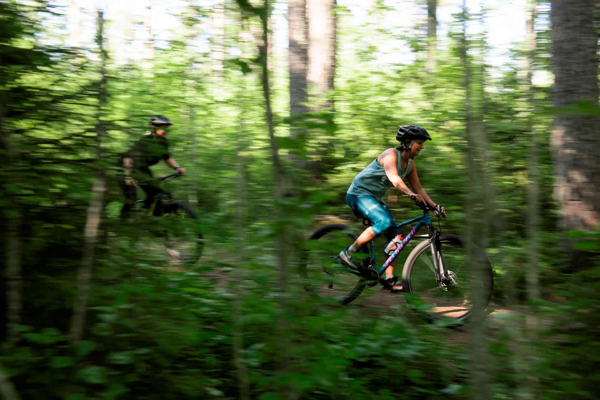 Två cyklister cyklar fram igenom skogen.