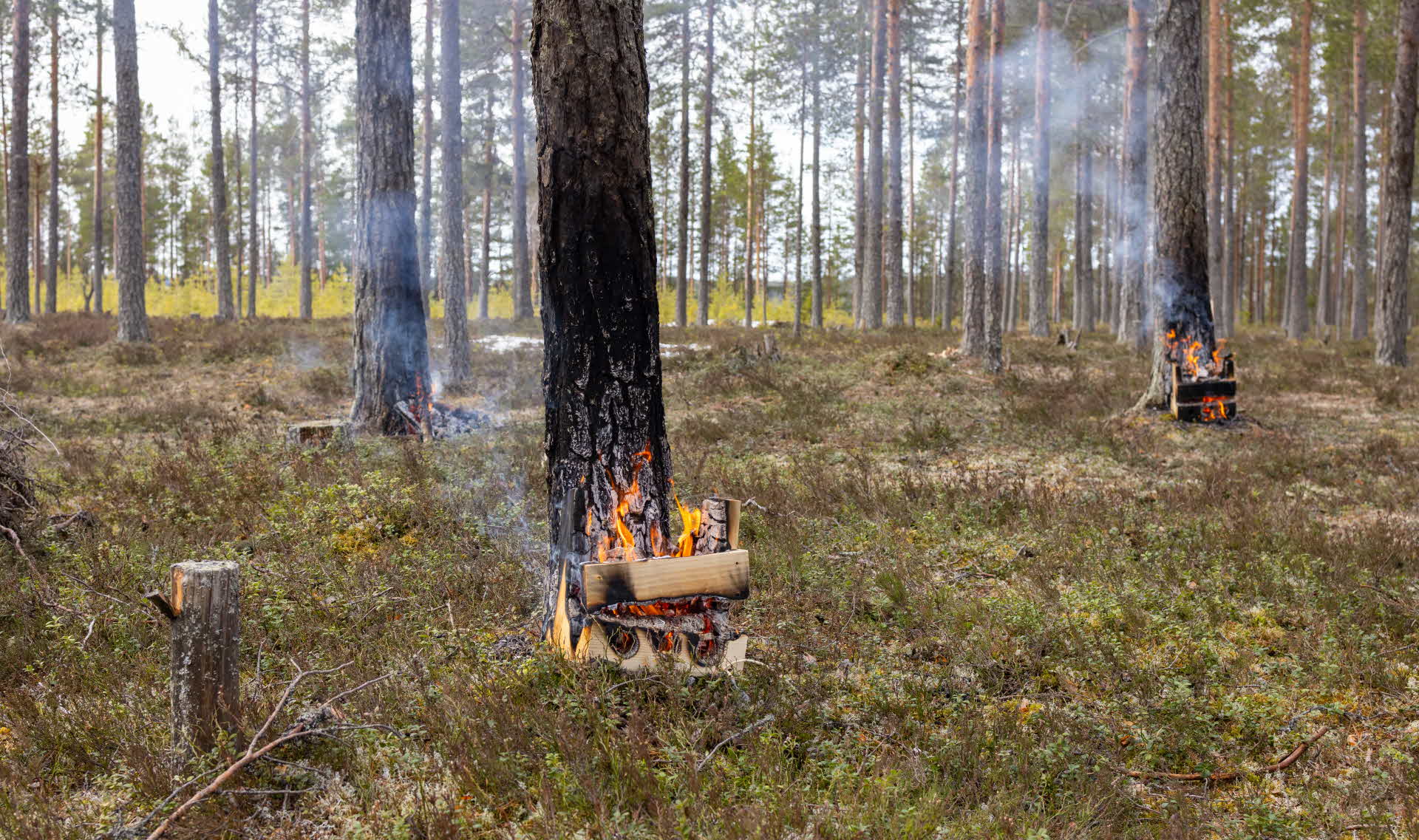 Bärbrasan för punktvisa naturvårdsbränningar