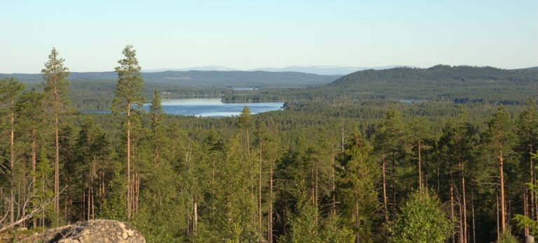 Märlingsberget Conservation Park – SCA