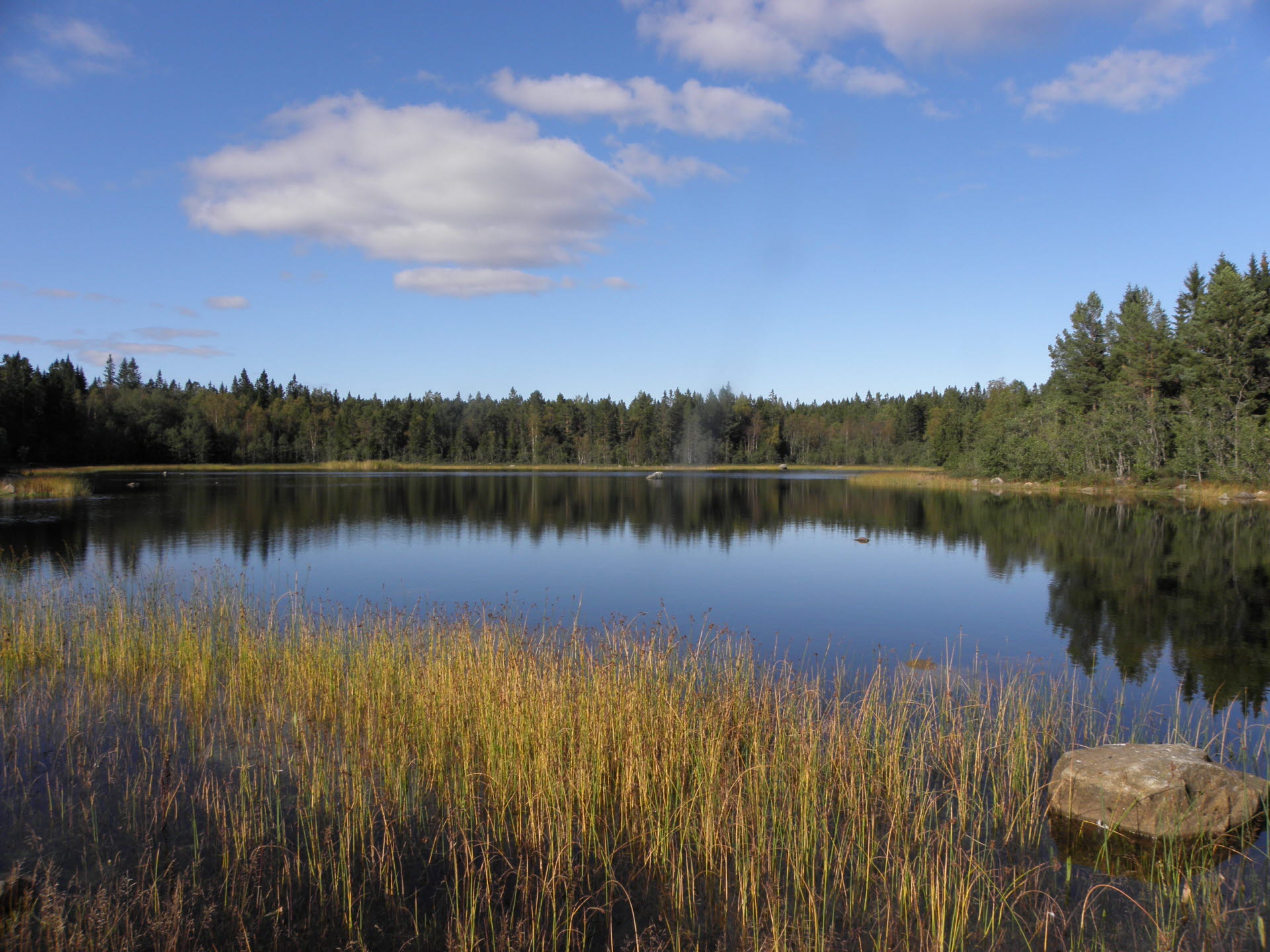 Njurundakusten