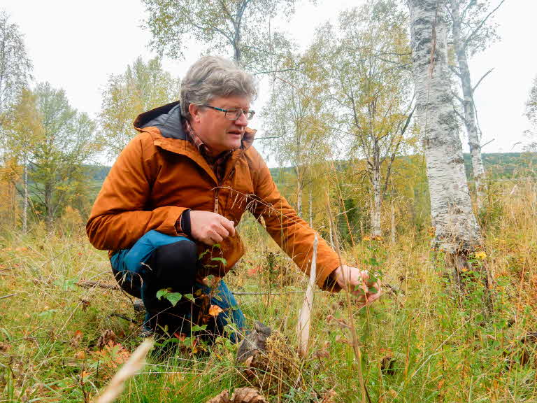 Håkan Blomqvist