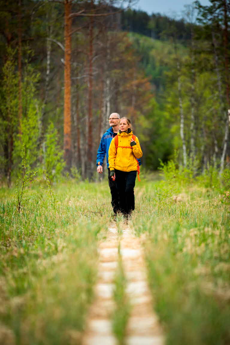 Stigen längs med Bjursjömyren