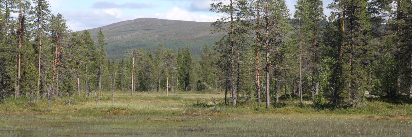 Peltovaara mångfaldspark