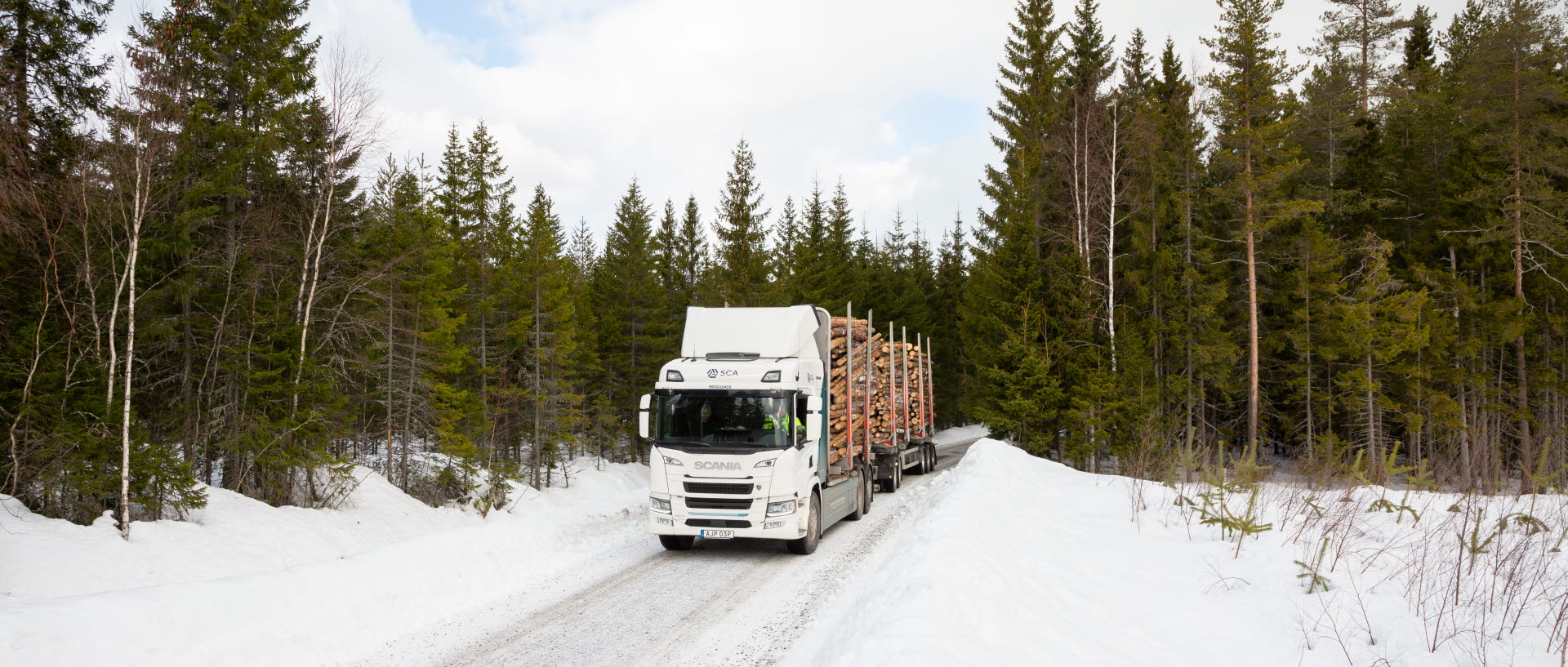 electric timber truck in forest