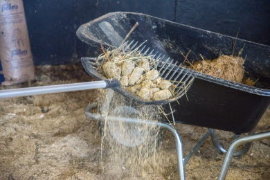 Att mocka är lättsamt med stallpellets